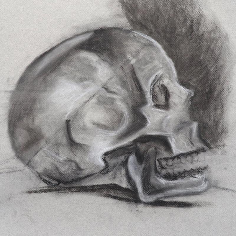 Skull Skull