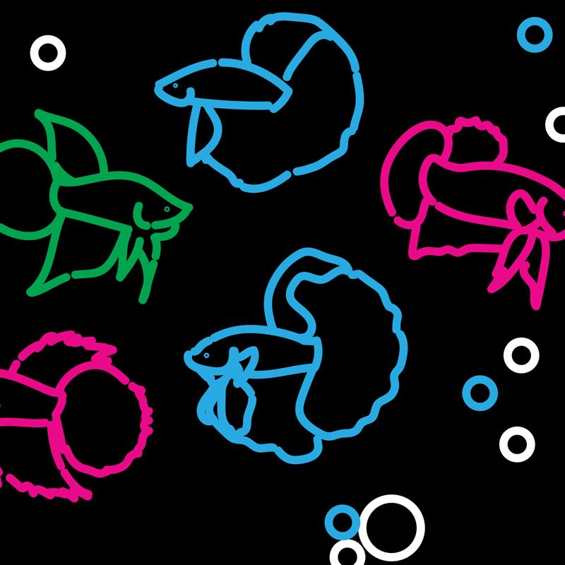 Zine: Betta Zine: Betta