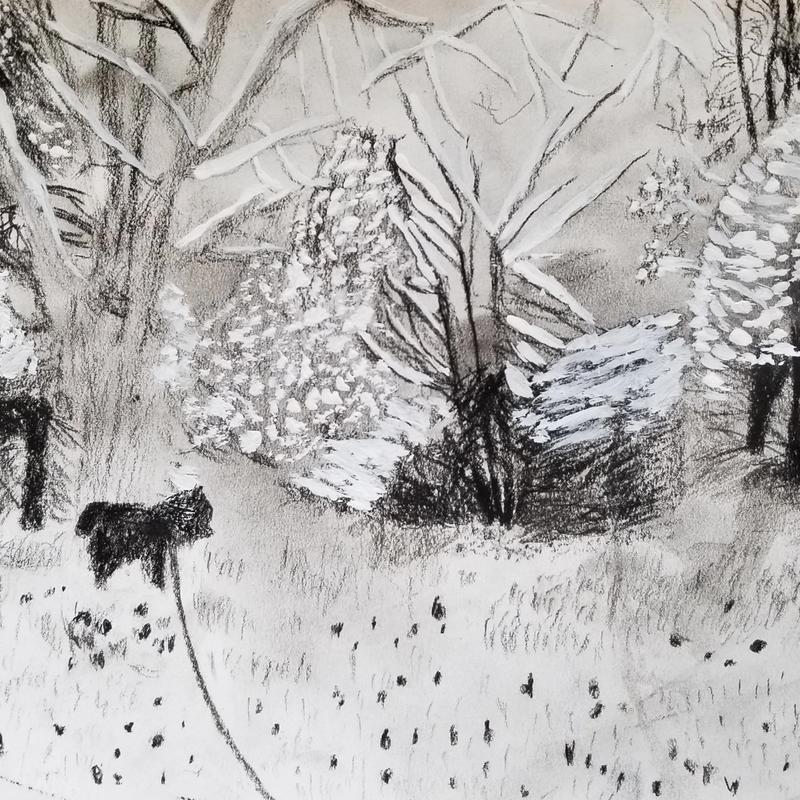 My Dog in Back Yard My Dog in Back Yard