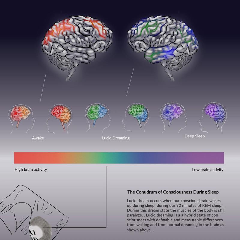 Lucid Dreaming Lucid Dreaming