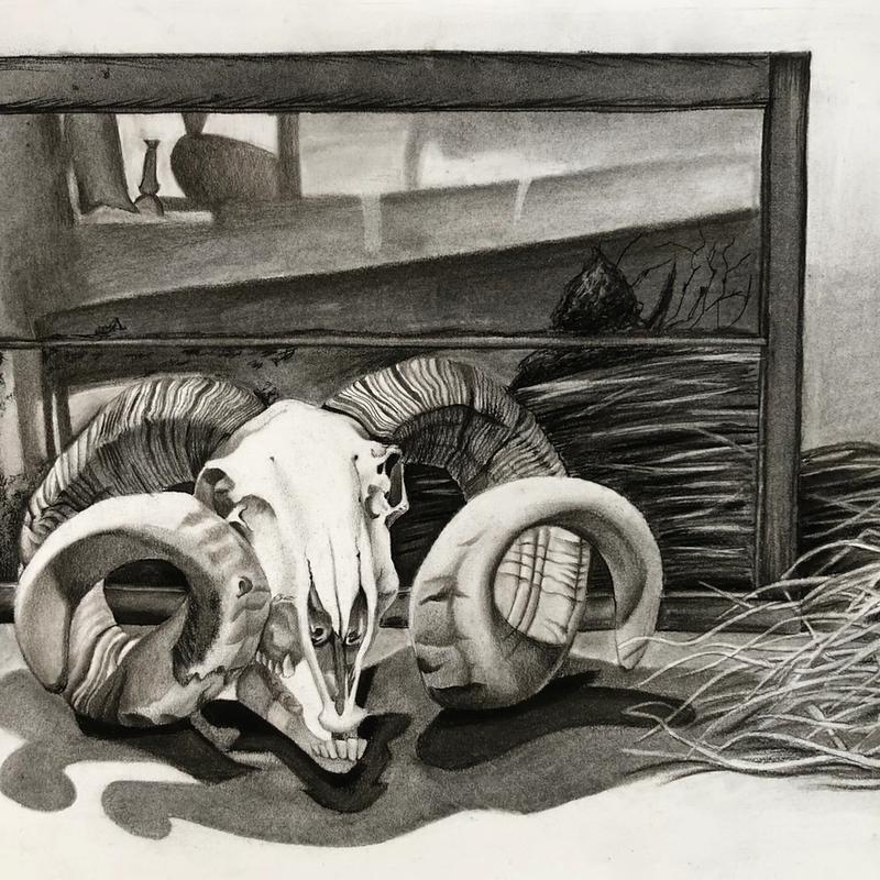 Skull Still life Skull Still life