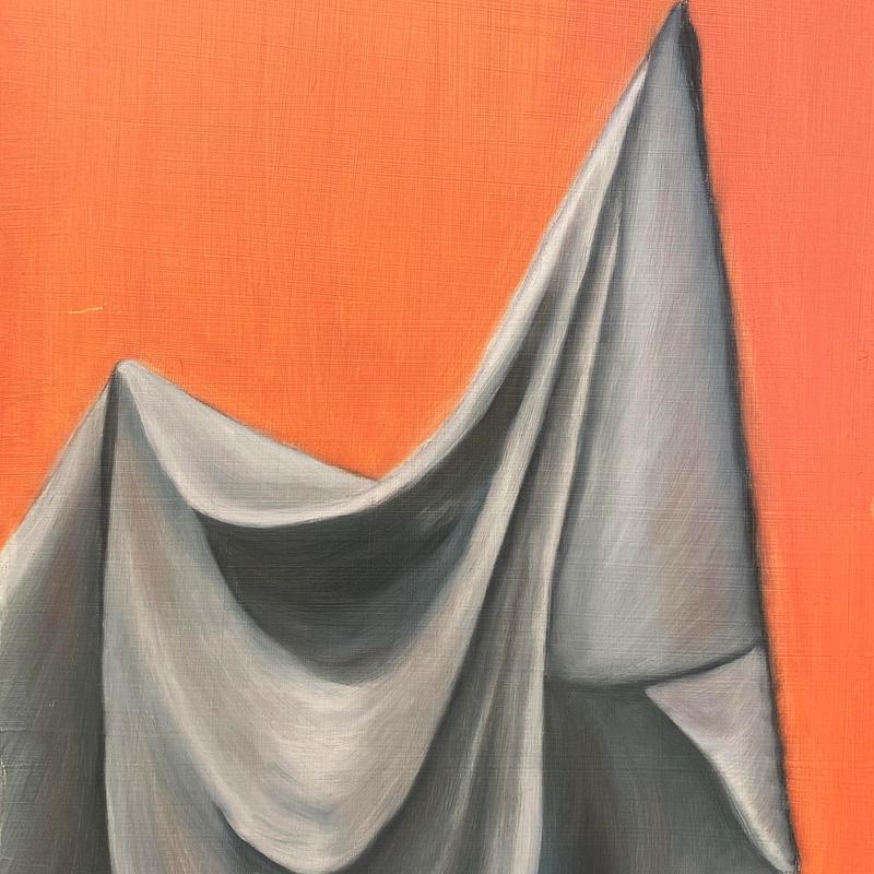 Fabric Study Fabric Study