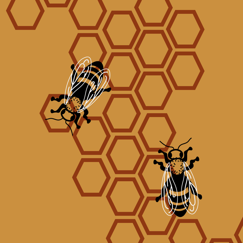 Zine: The Buzz Zine: The Buzz