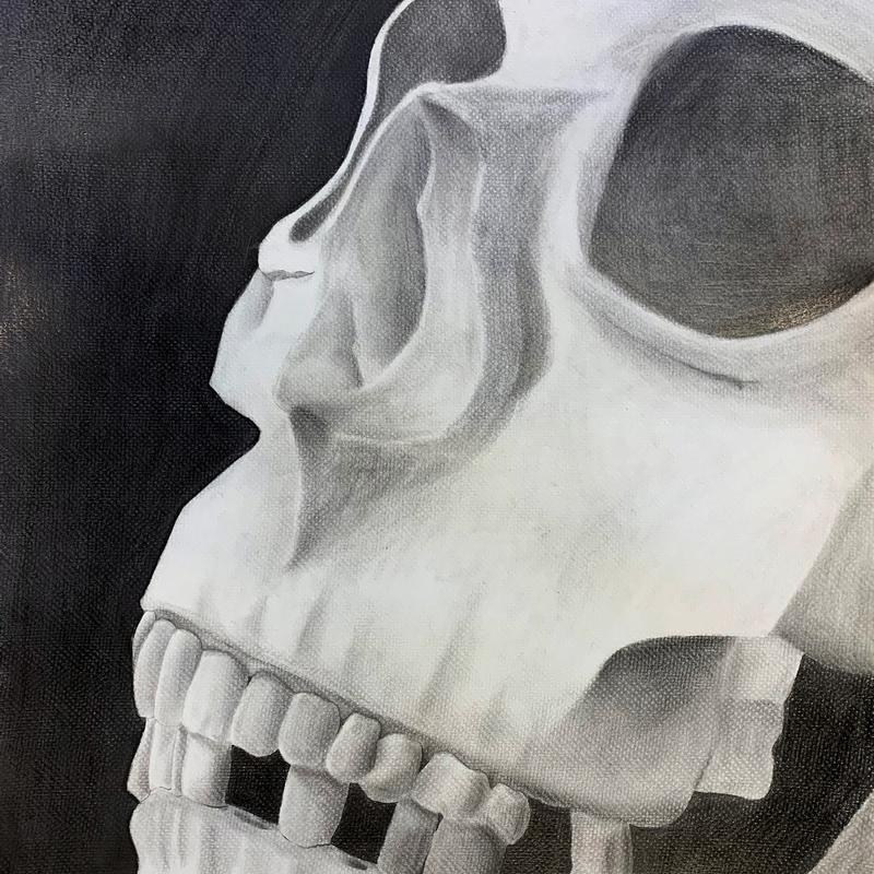 Anatomy Study Anatomy Study