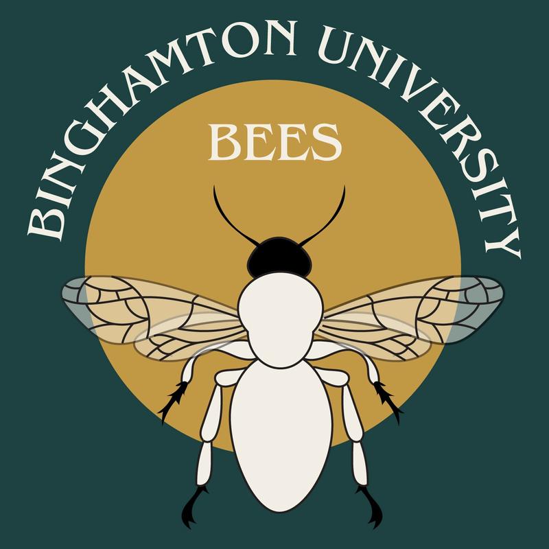 Binghamton University Bees