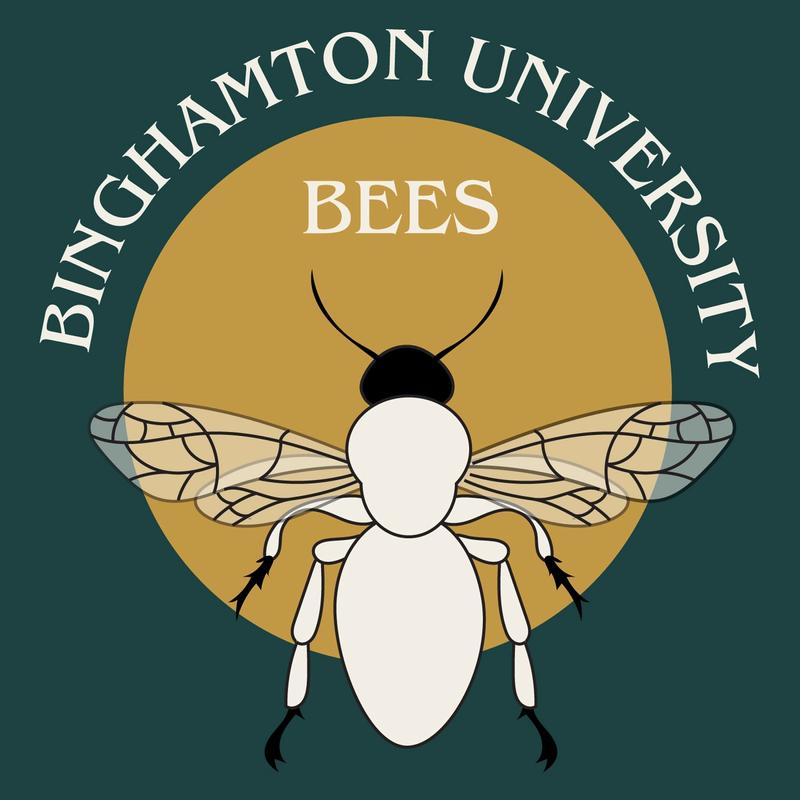 Binghamton University Bees Binghamton University Bees