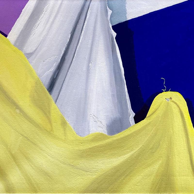 Fabric Study Fabric Study