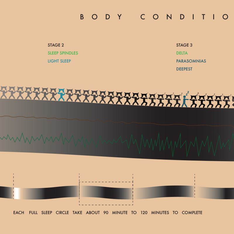 Science of sleep: infographic Science of sleep: infographic