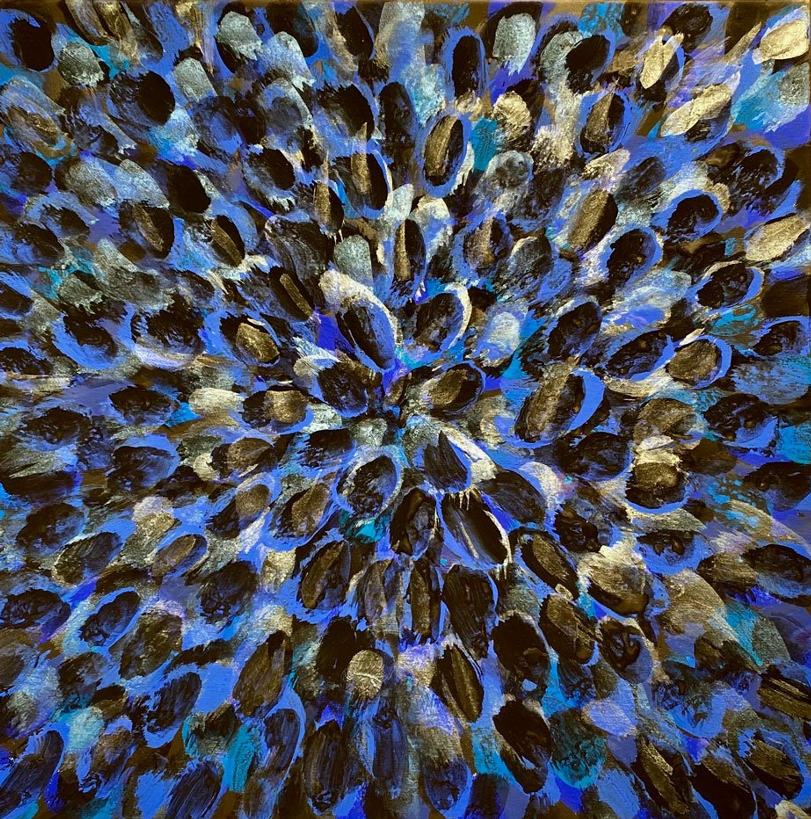 Blue Morpho's