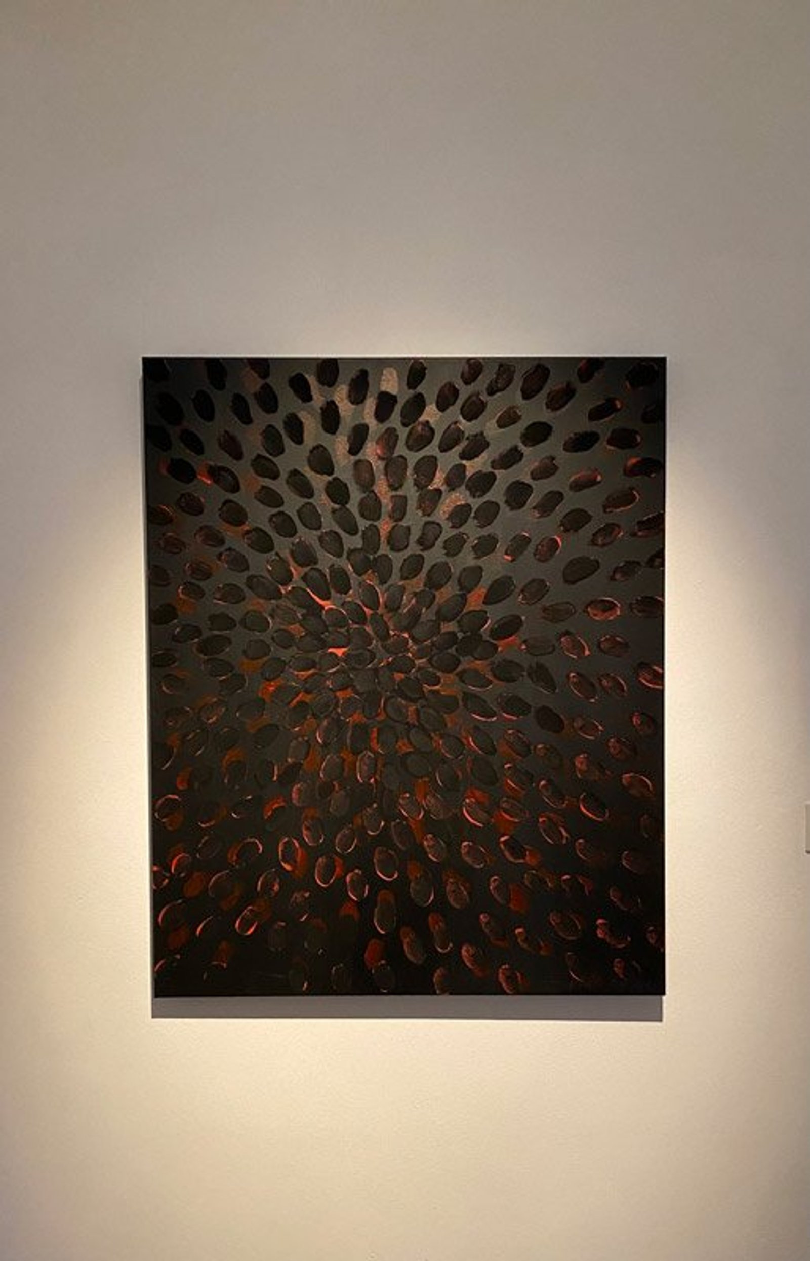 Black Tulips