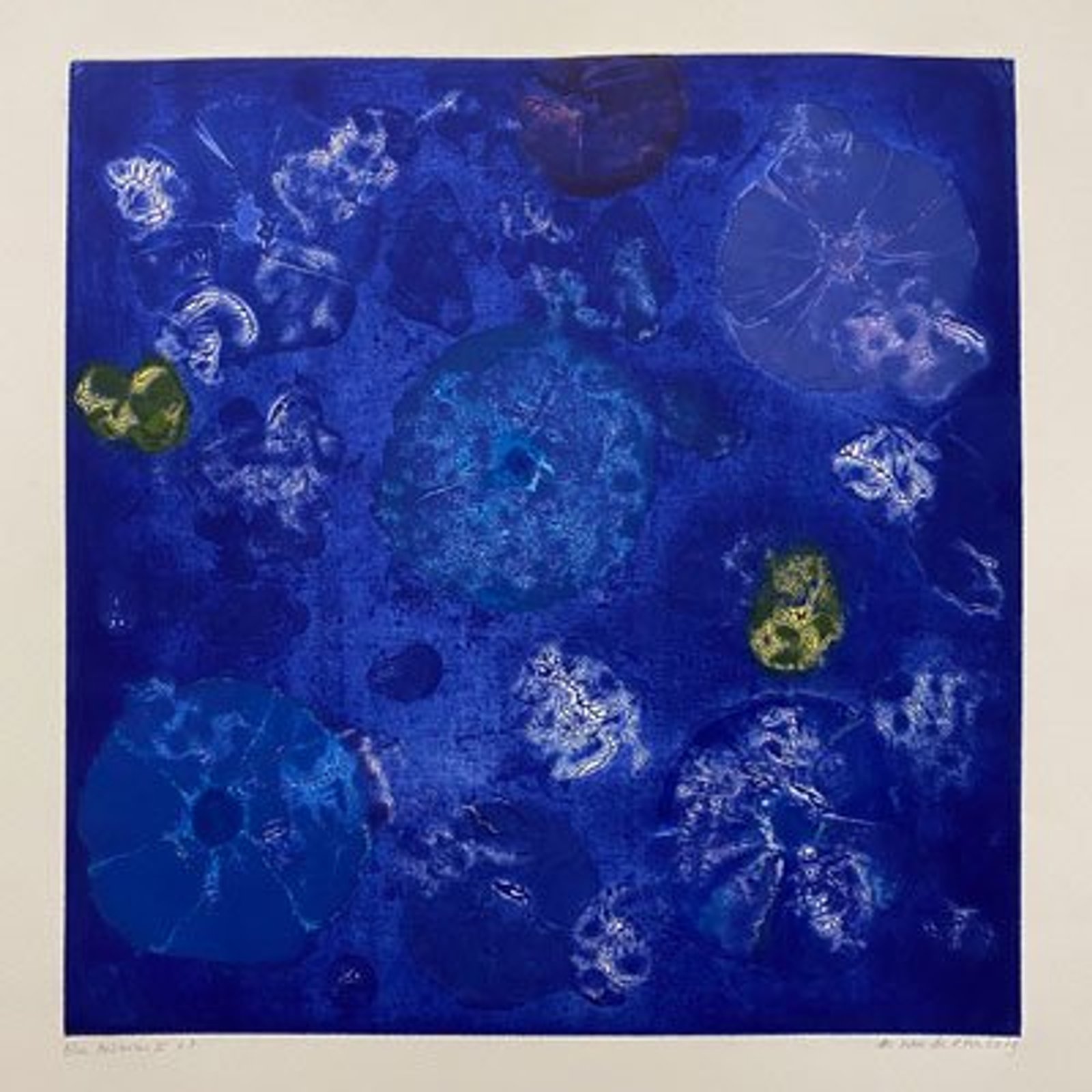 Anémones de mer, blue