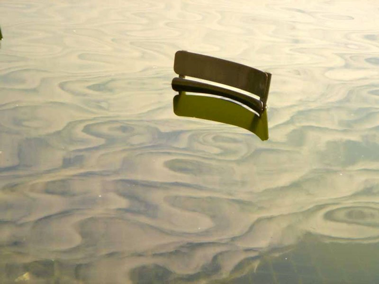 Chair in the Water