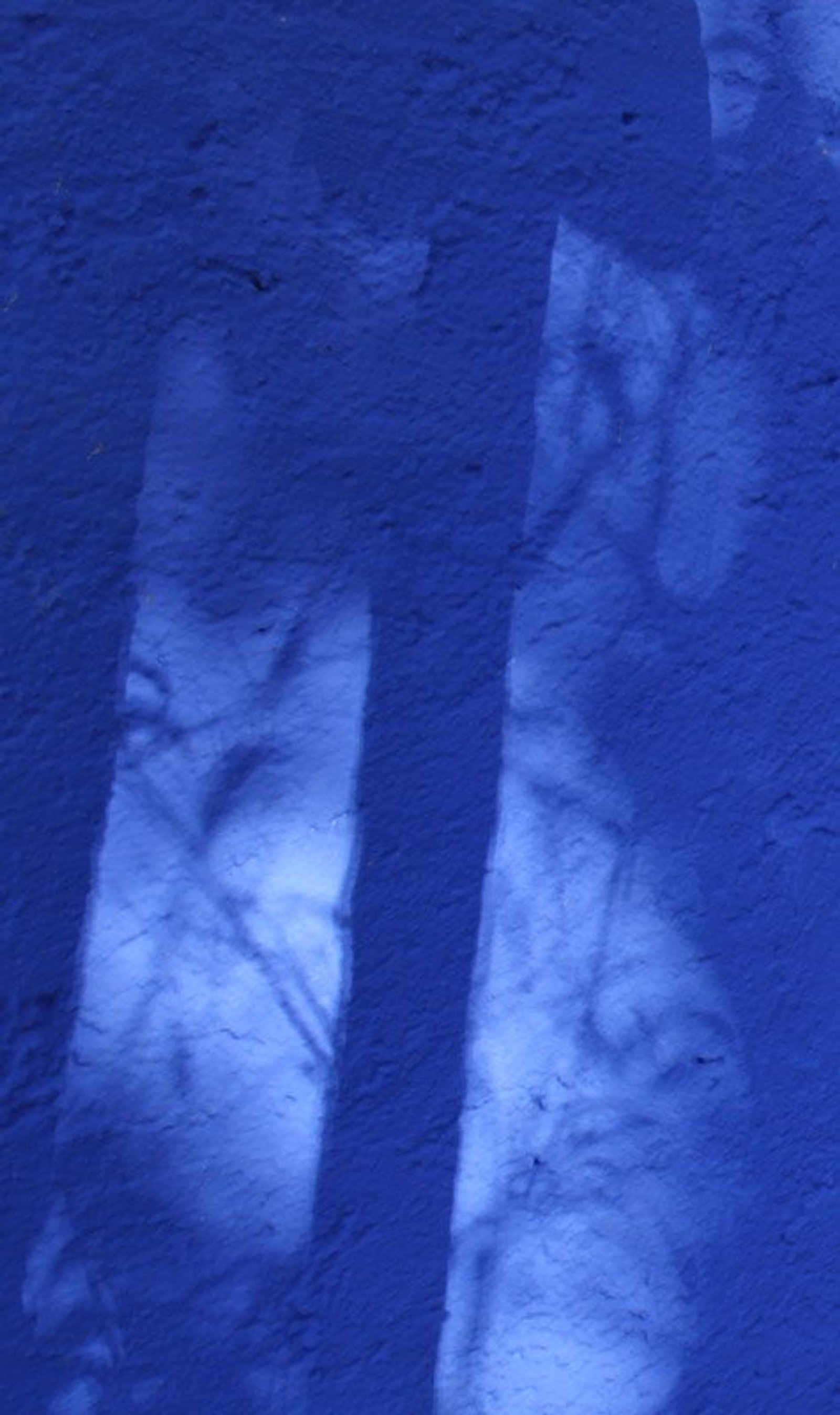 Ombres projetes mur atelier Frida-Kahlo