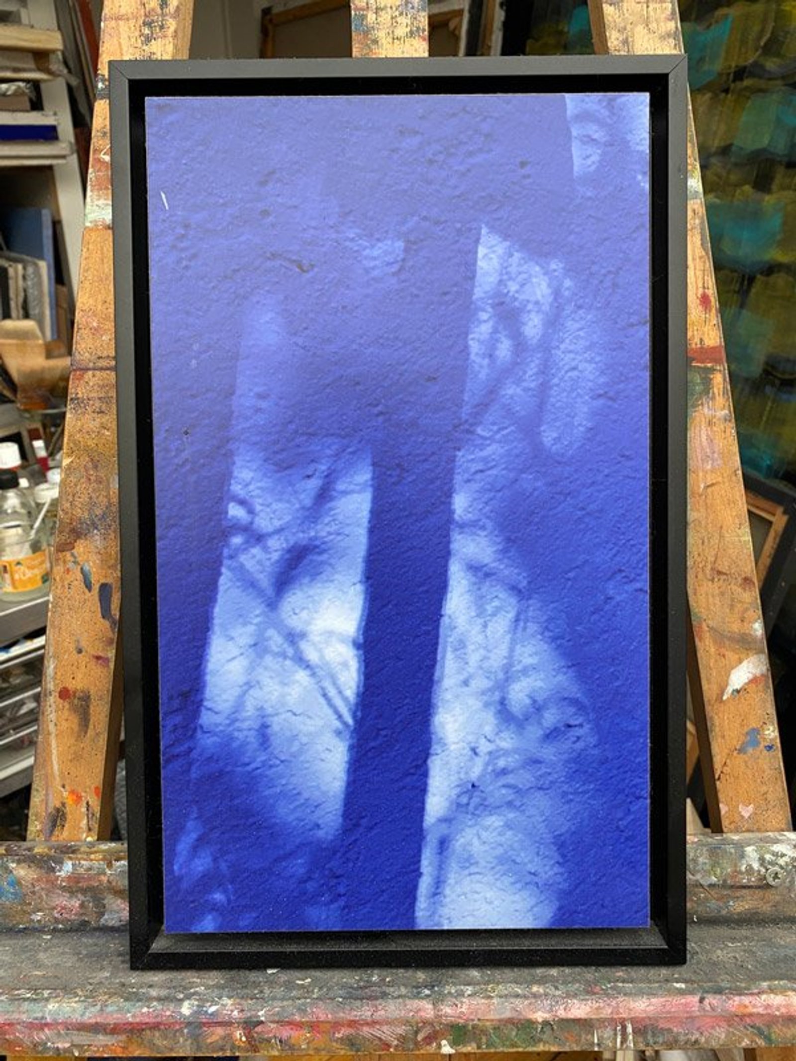 L’ombre du feuillage sur le lur de l’atelier de Frida Kahlo