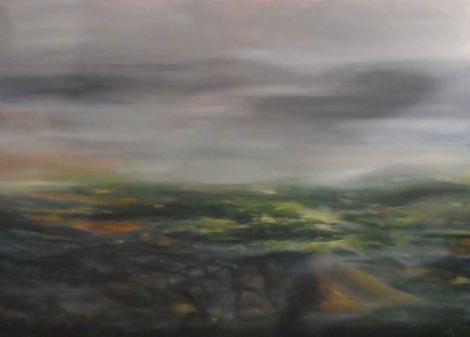 Amazon Landscape