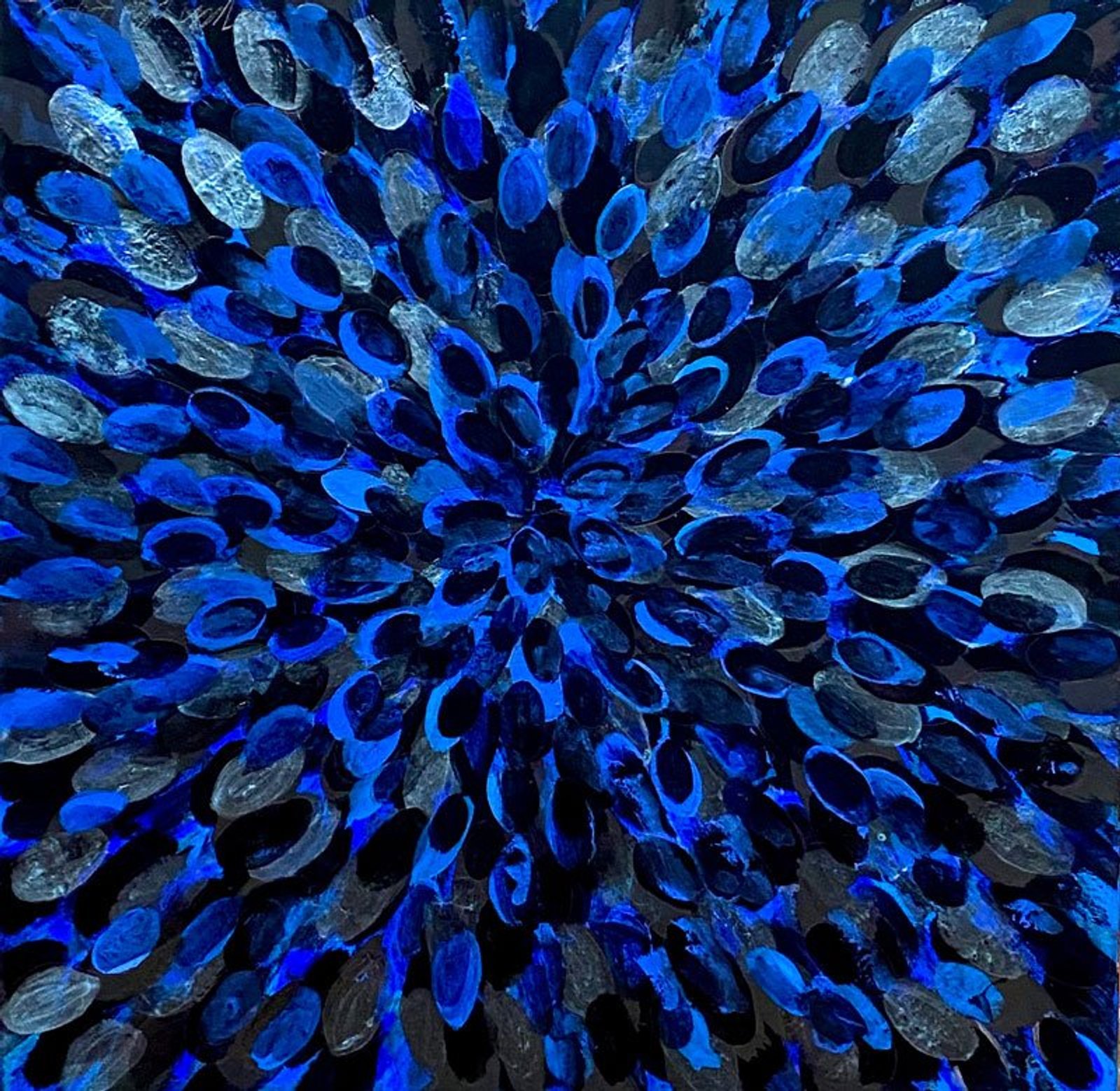 Blue Morpho's