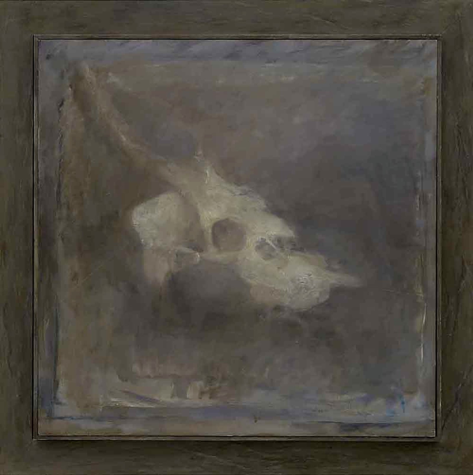Deer Skull
