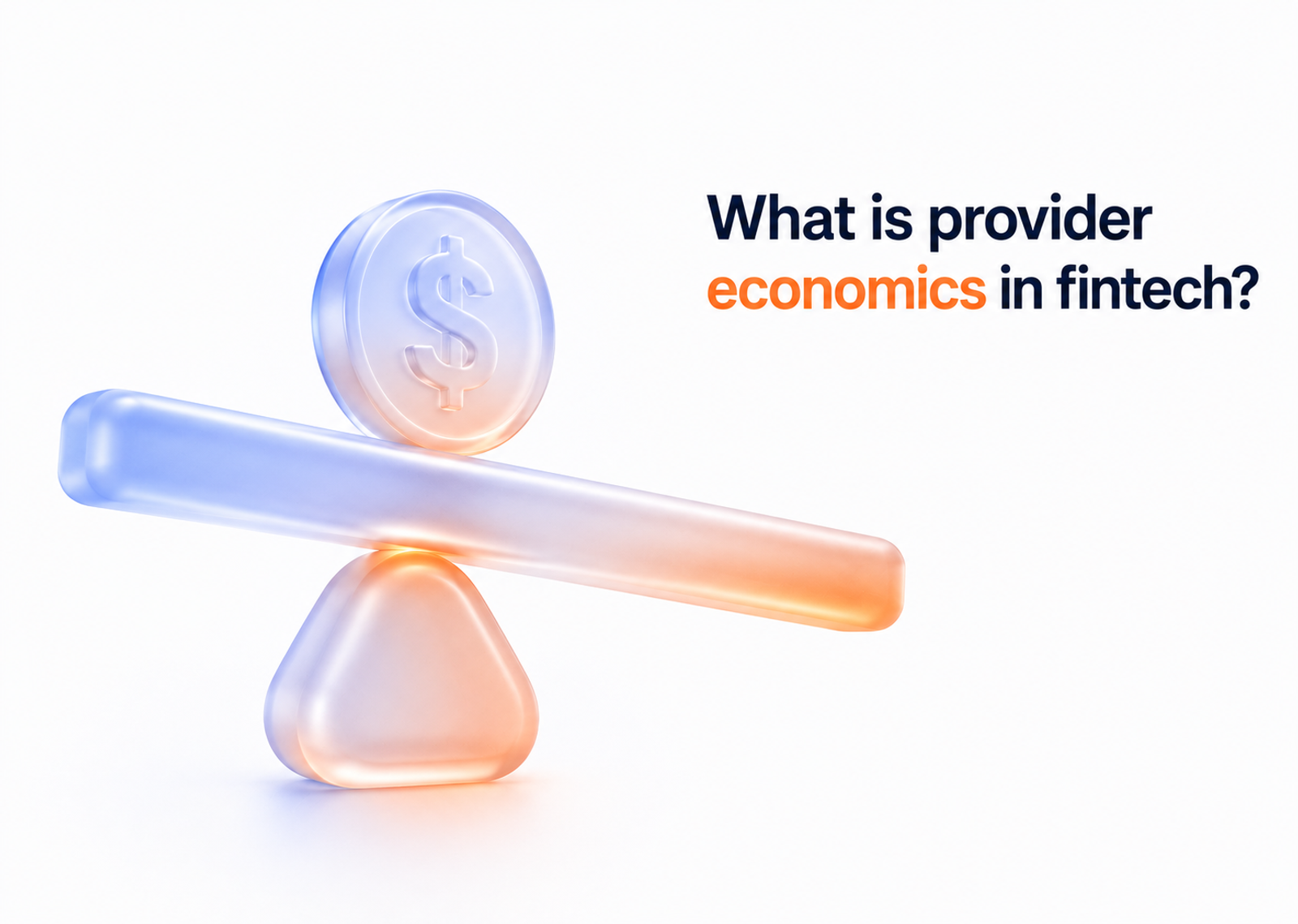 What is provider economics in fintech?