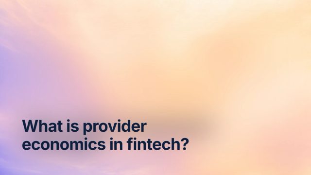 What is provider economics in fintech?