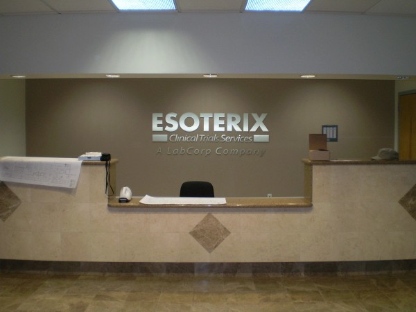 Cut metal letters for Esoterix