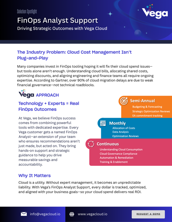Solution Spotlight: FinOps Analyst Support