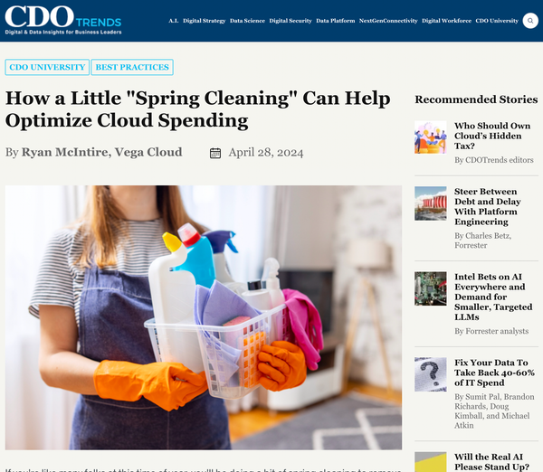 How a Little "Spring Cleaning" Can Help Optimize Cloud Spending