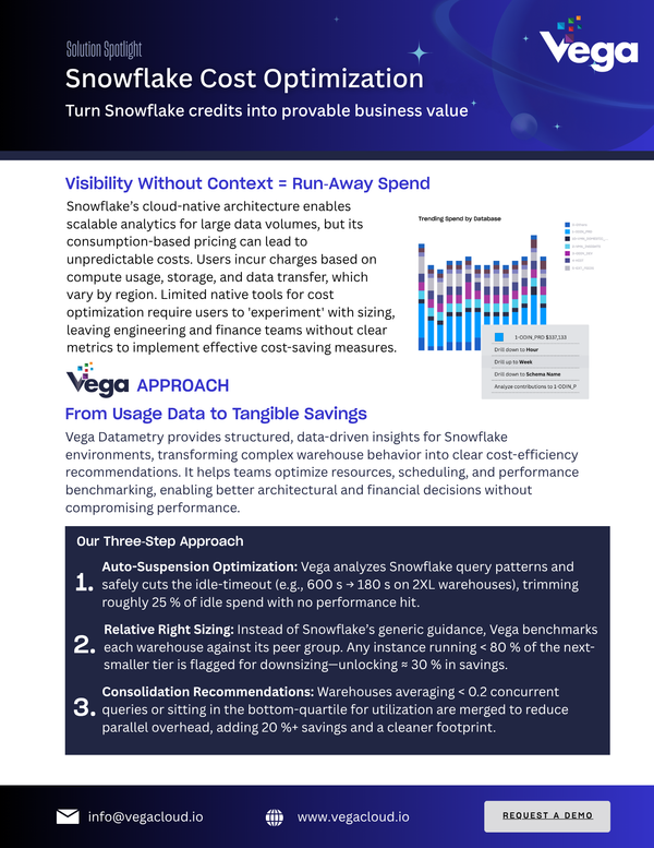 Solution Spotlight: Snowflake Optimization with Vega Datametry