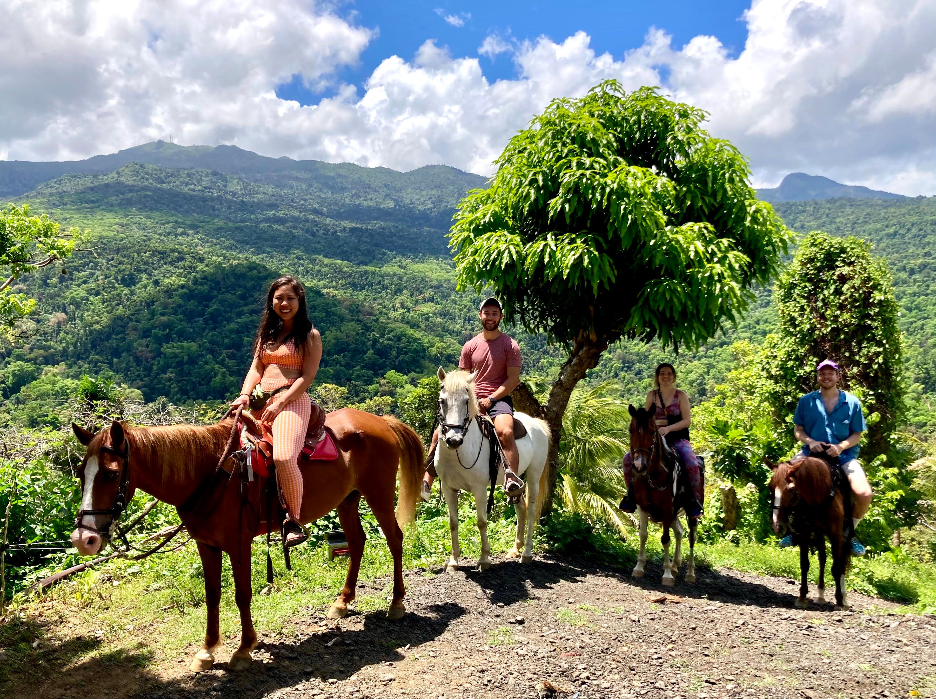 Ride Through Puerto Rico’s Living Rainforest
