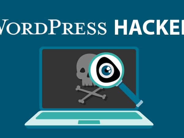 Vulnerabilități Wordpress
