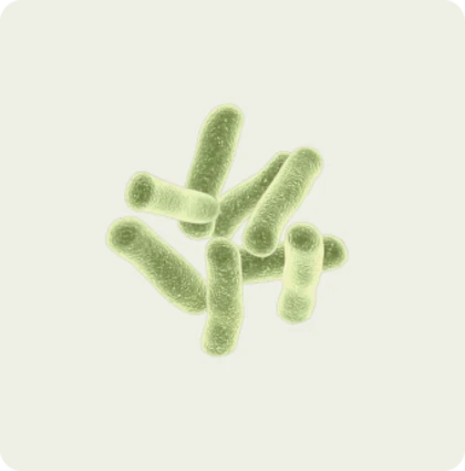 probiotic