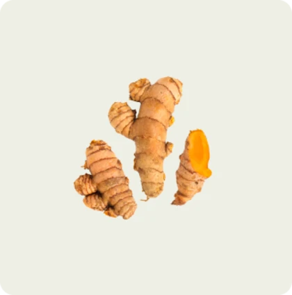 turmeric
