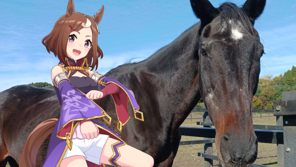 Tsurumaru Tsuyoshi, Racehorse Behind Umamusume Character, Dies at 31