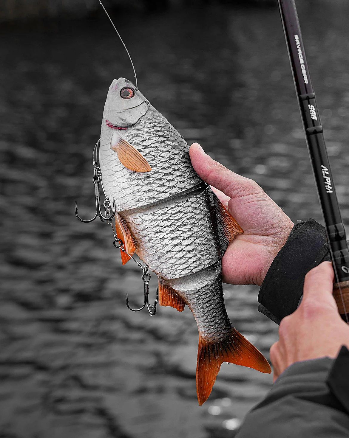 Shop best fishing rods 