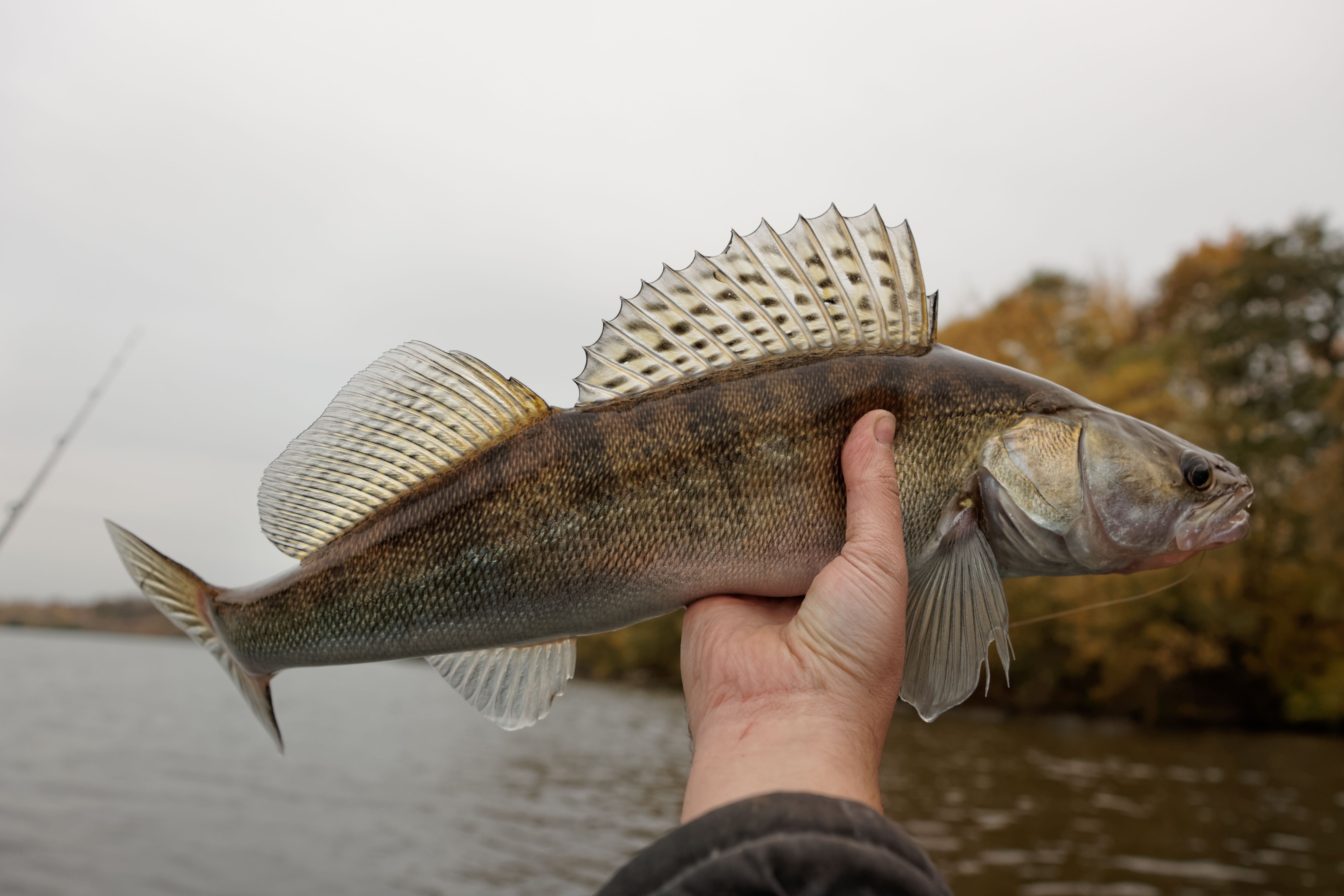 Fishing equipment Canada
