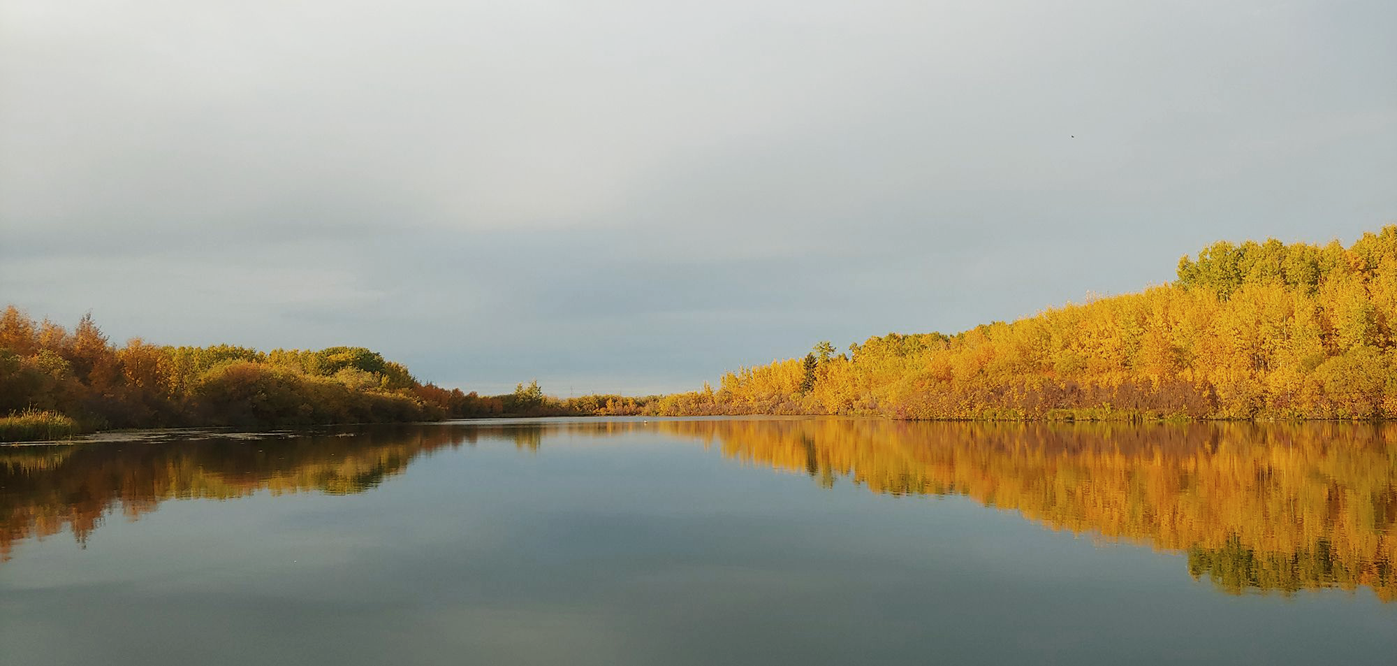 Hunting firearms for sale Canada