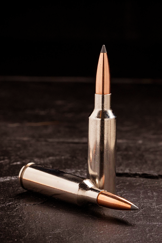 ammunition Canada 