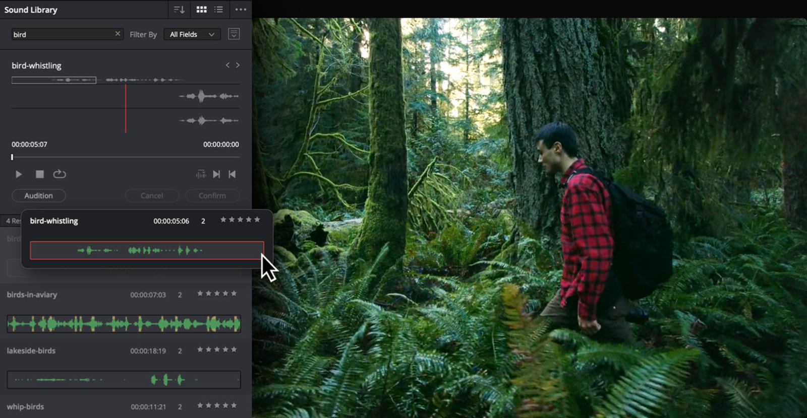 User selects a specific bird sound effect from the DaVinci Resolve Sound Library for a video scene.