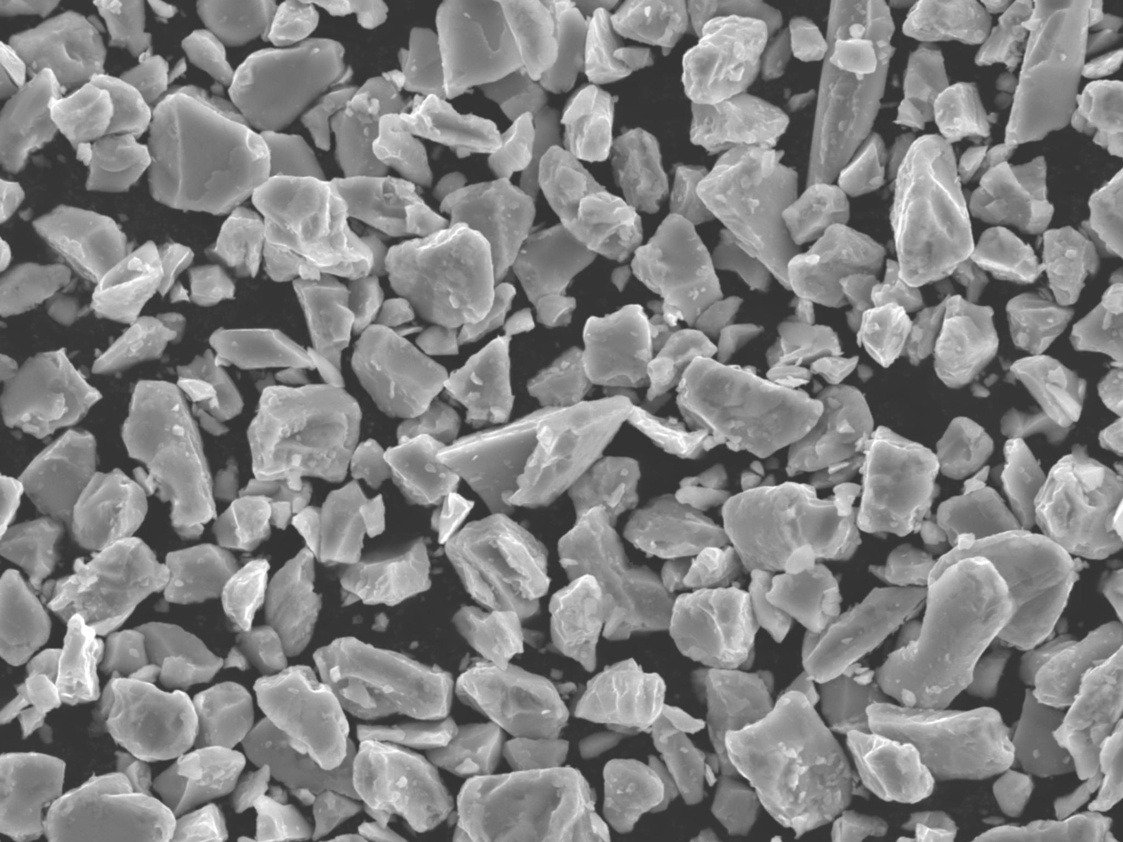 Magnified magnet powder particles