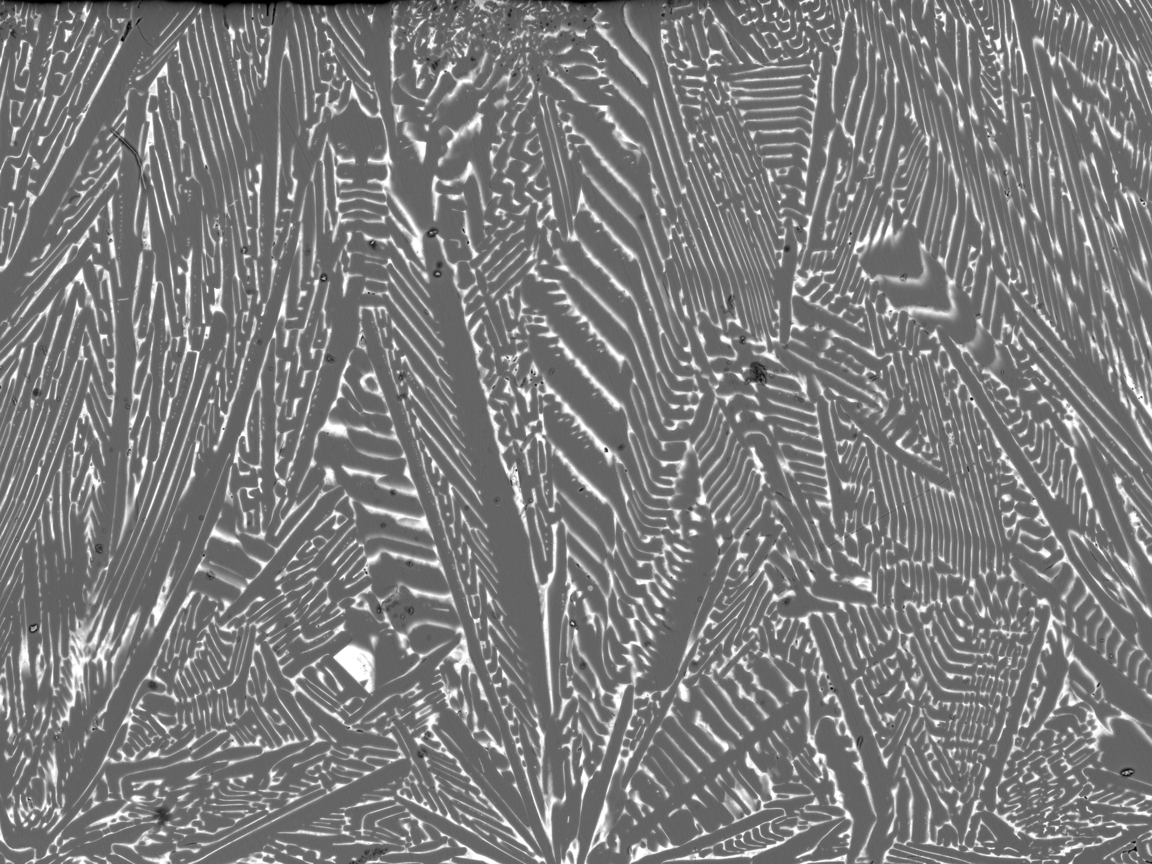 Magnified alloy microstructure