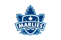 brands logo