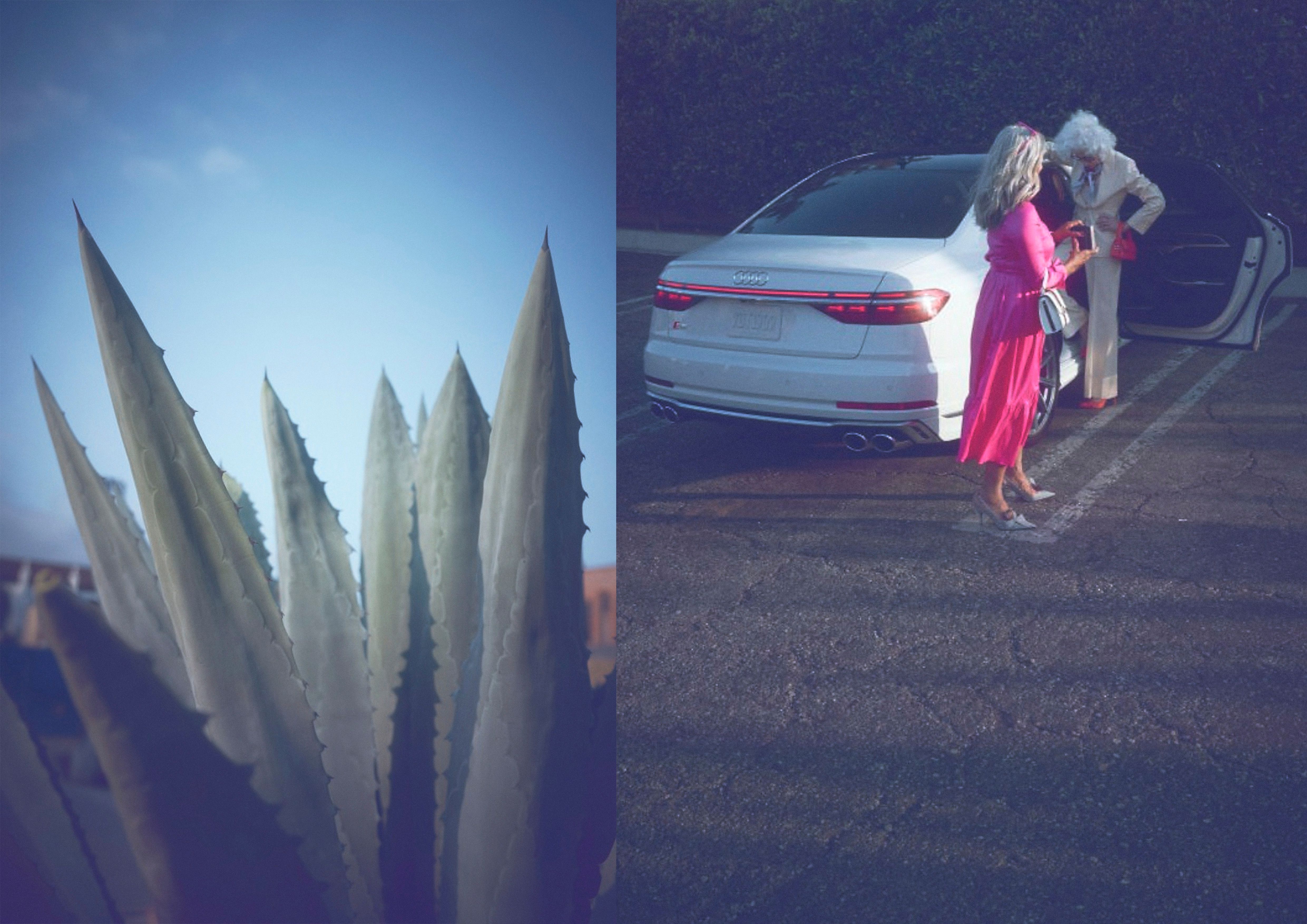 AUDI-S8_HEANDME-WEB_ 15.jpg