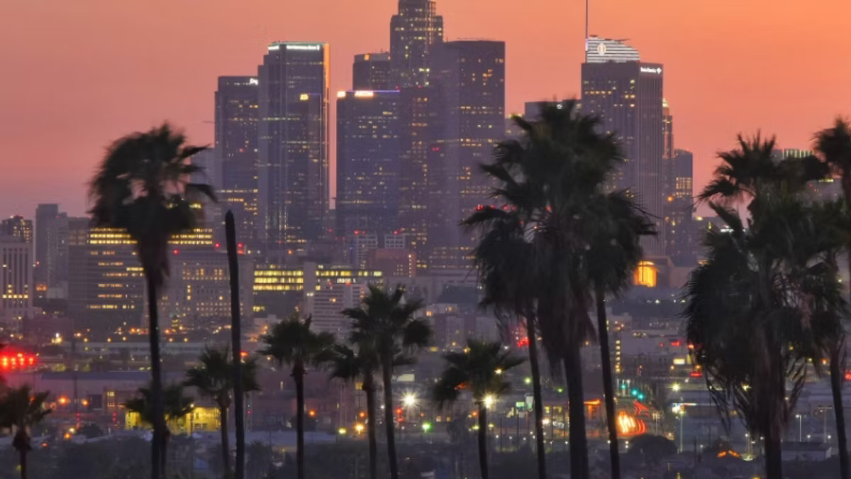 The downtown Los Angeles skyline at sunset behind a row of silhouetted palm trees, under a pink sky.