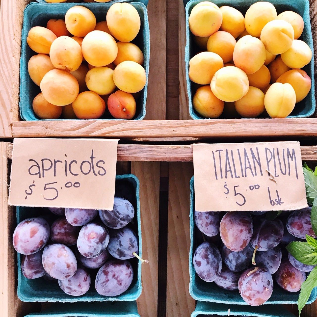 apricots and plums