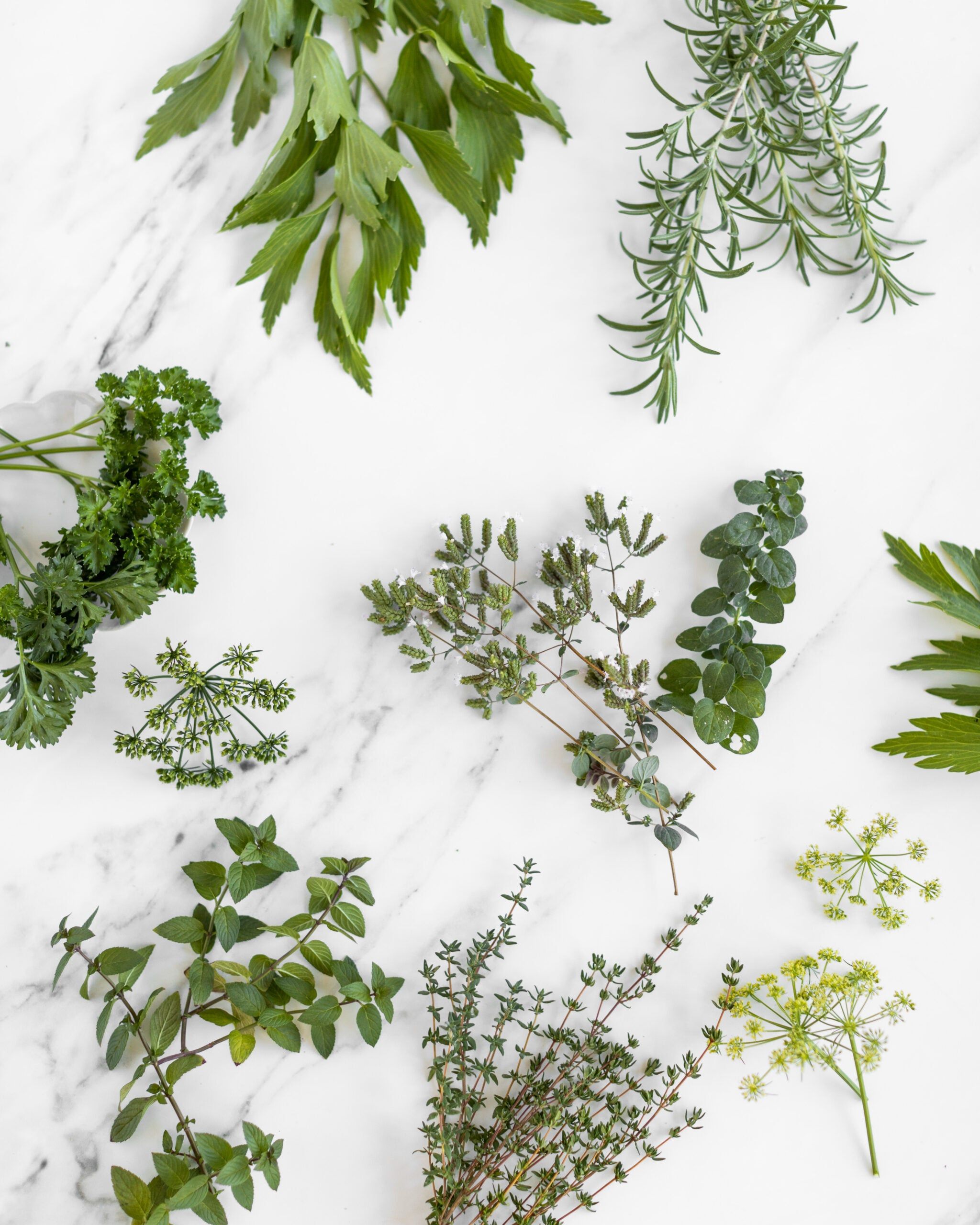 What to Do with All Those Herbs (Before They Go Bad)