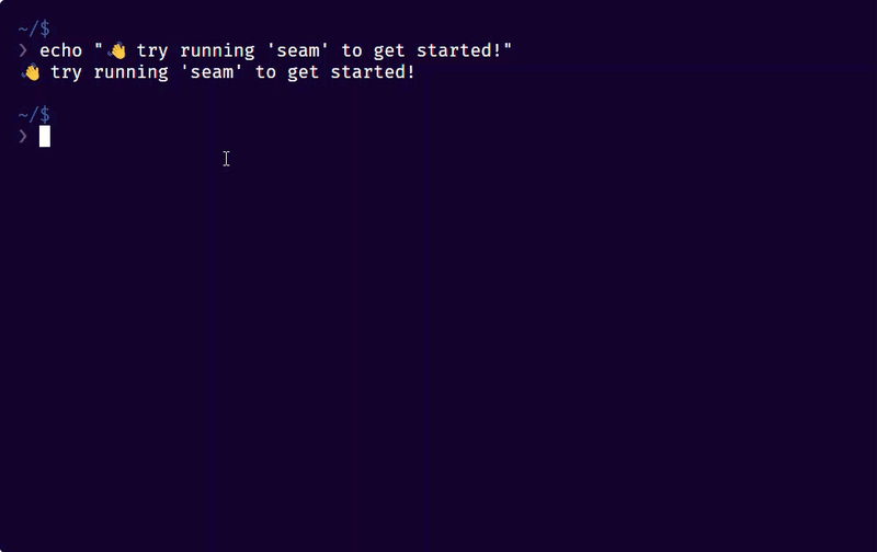 Demo of the Seam CLI in action
