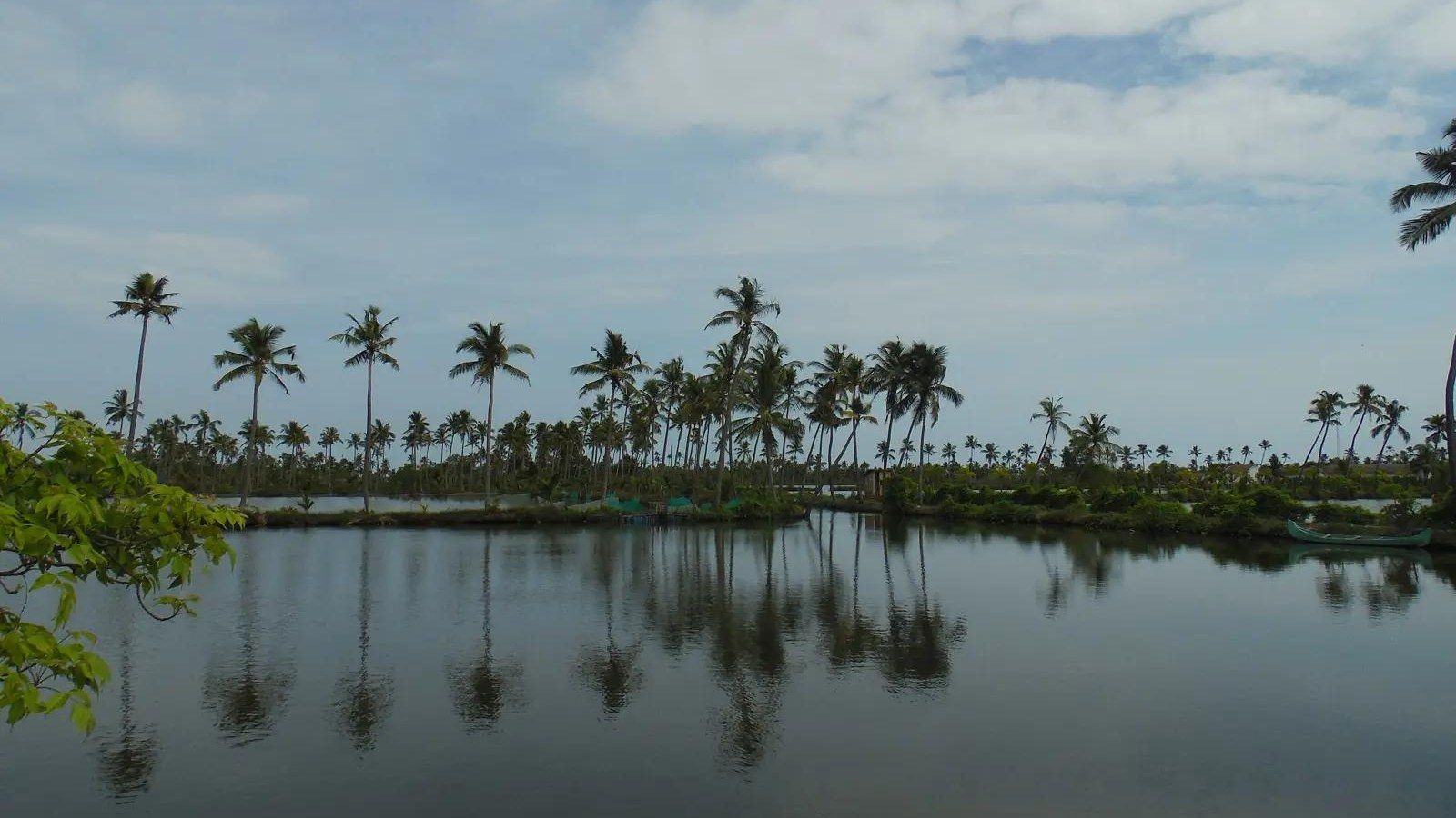 Backwaters at Kumbalangi village in Kochi, where Kumbalangi Nights was filmed