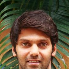 Arya smiling in a grey T-shirt in front of green palm leaves