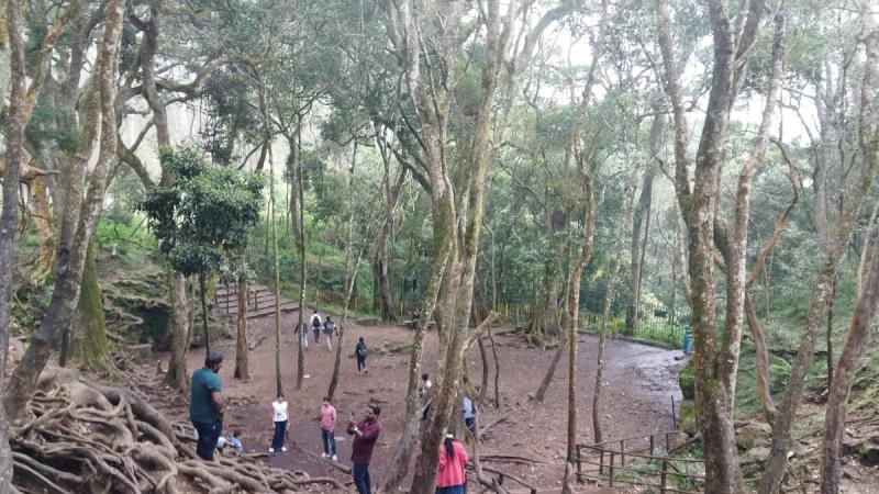 Guna Caves in Kodaikanal, the real location behind Manjummel Boys