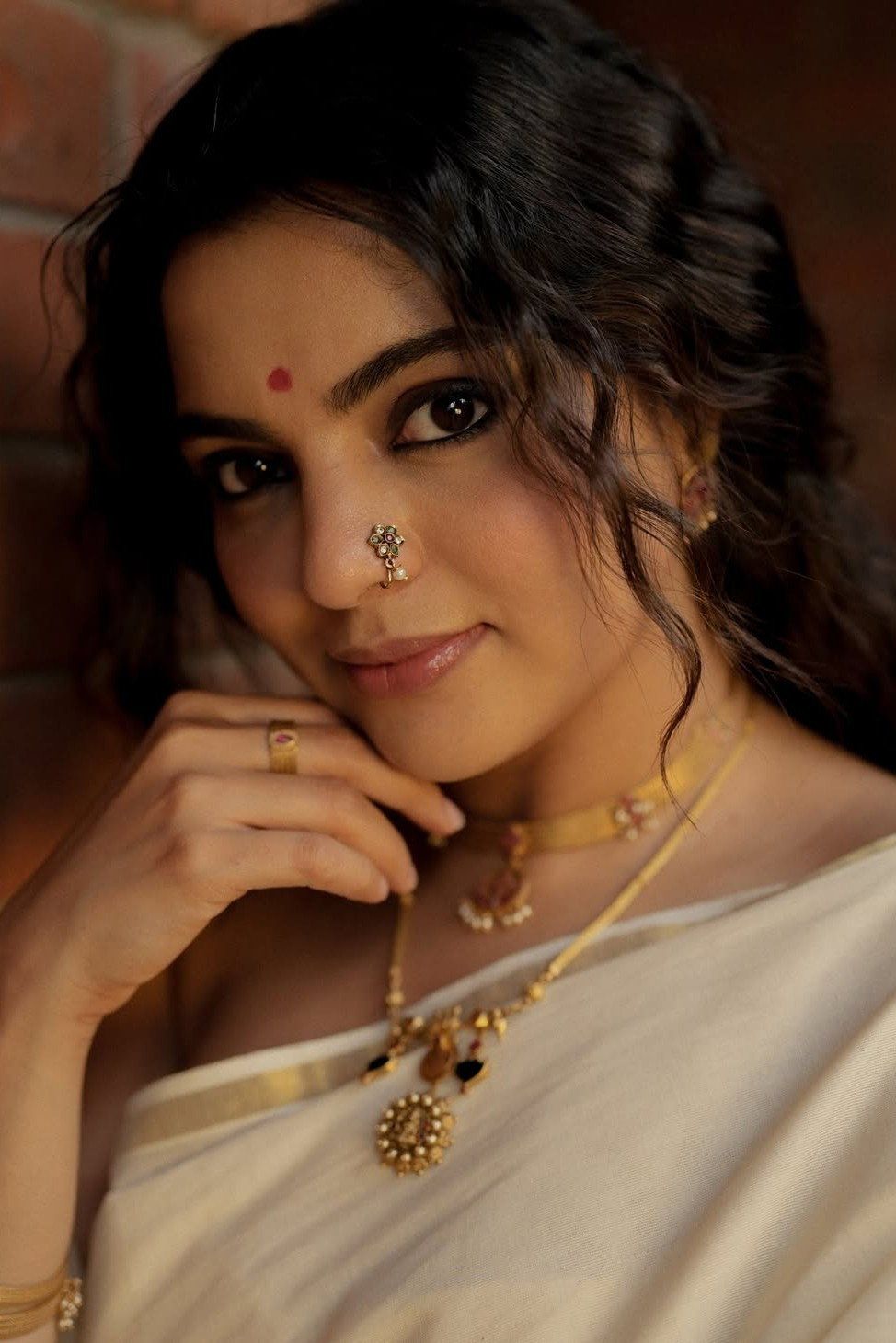 Nikhila Vimal, Malayalam and Tamil actress