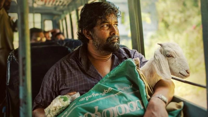 Joju George seated by a bus window holding a white goat wrapped in a green sack
